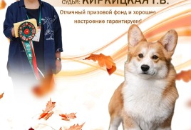 Всепородная выставка собак ранга САС + Чемпион Федерации РФОС