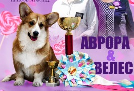 Новая запись