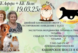 19 марта двойной плем смотр 