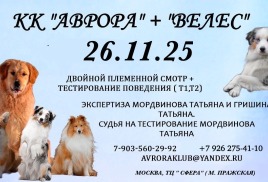 26.11.25 2х племсмотр + Т1