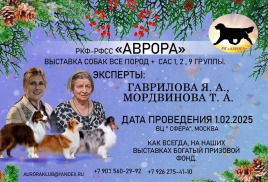 01.02.2025 Выставка САС-ЧФ РФСС, МОО КК "Аврора" + САС групп 1, 2, 9